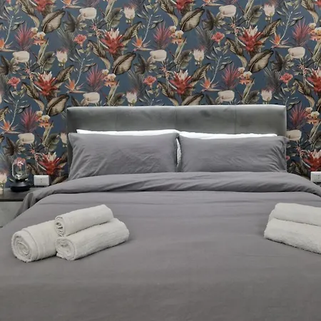 Casablanca Center * Katania